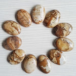Lot de 12 pierres naturelles ovales 25 x 18 mm - La réserve de Gaïa